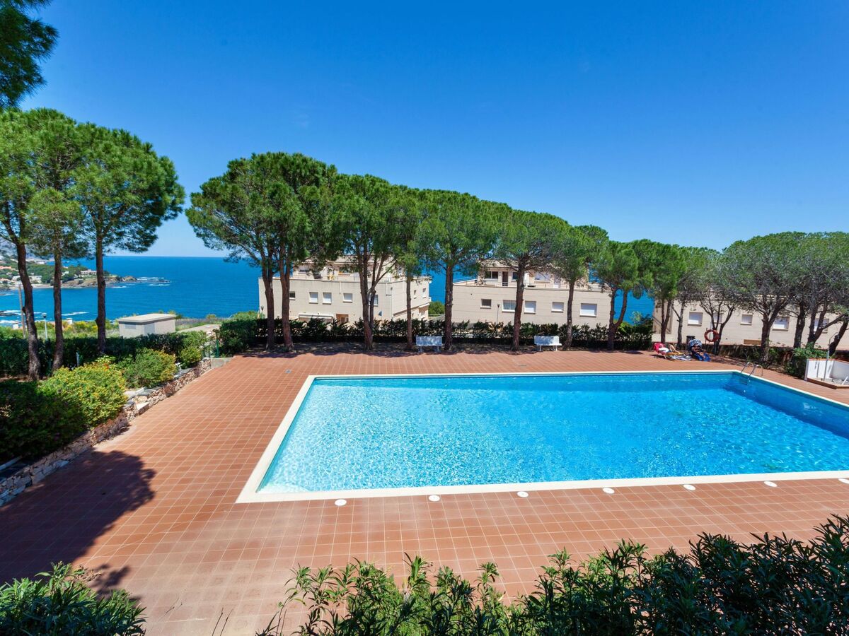 Aloes – Appartement 40 m² vue mer à Llançà - Photo 19