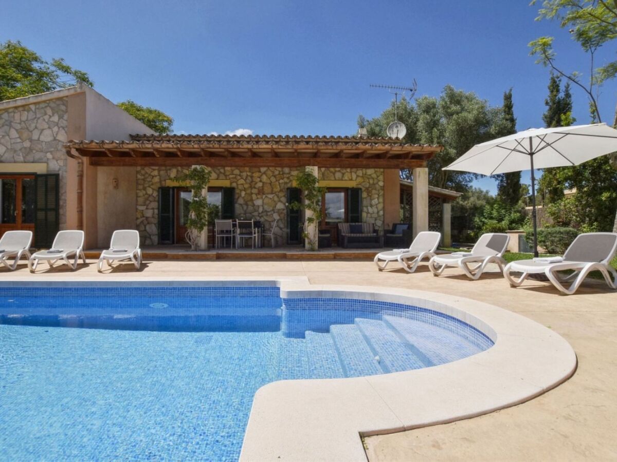 Villa Correfoc avec piscine 9x4 m – Sa Pobla, Majorque - Photo 36