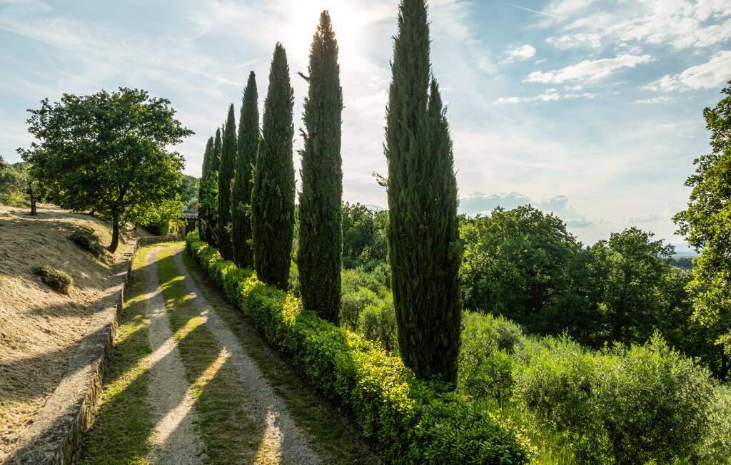 Maison 6 personnes à Arezzo - Photo 8