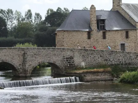 Grande maison 5 chambres à la campagne, animaux admis, parking, internet inclus, proche Mont St-Michel - Photo 20