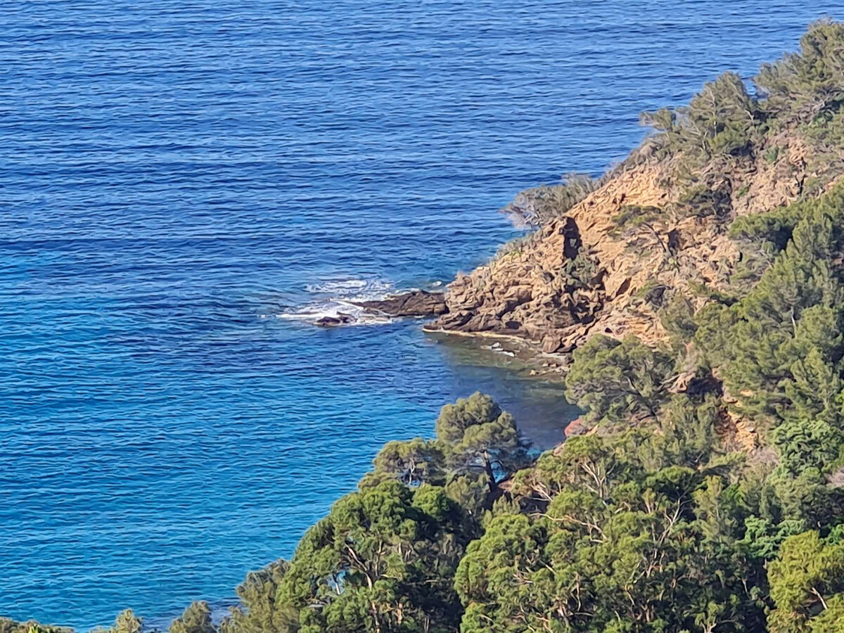 2P rez-de-jardin avec piscine à Cavalaire-sur-Mer - Photo 15