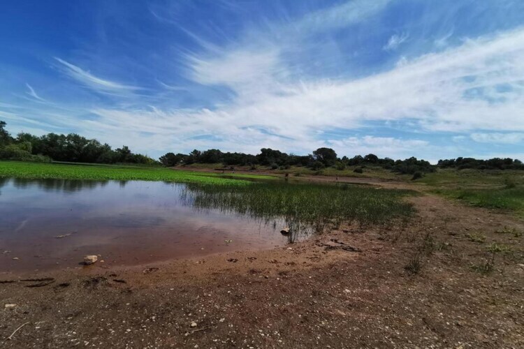Villa Polau – Maison 8 pers. avec piscine à Vidauban - Photo 27