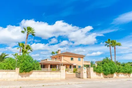 Villa Es Garroveret, piscine 8x4m aux Baléares : photo 9