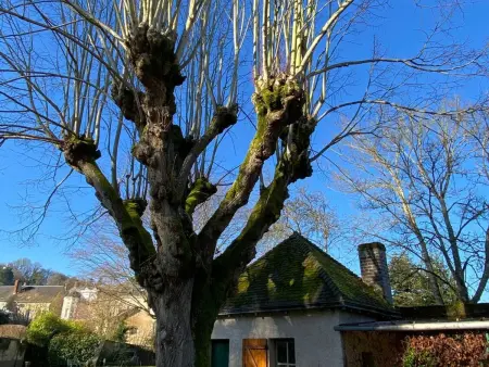 Gîte 6 chambres en village avec parking fermé - Photo 8