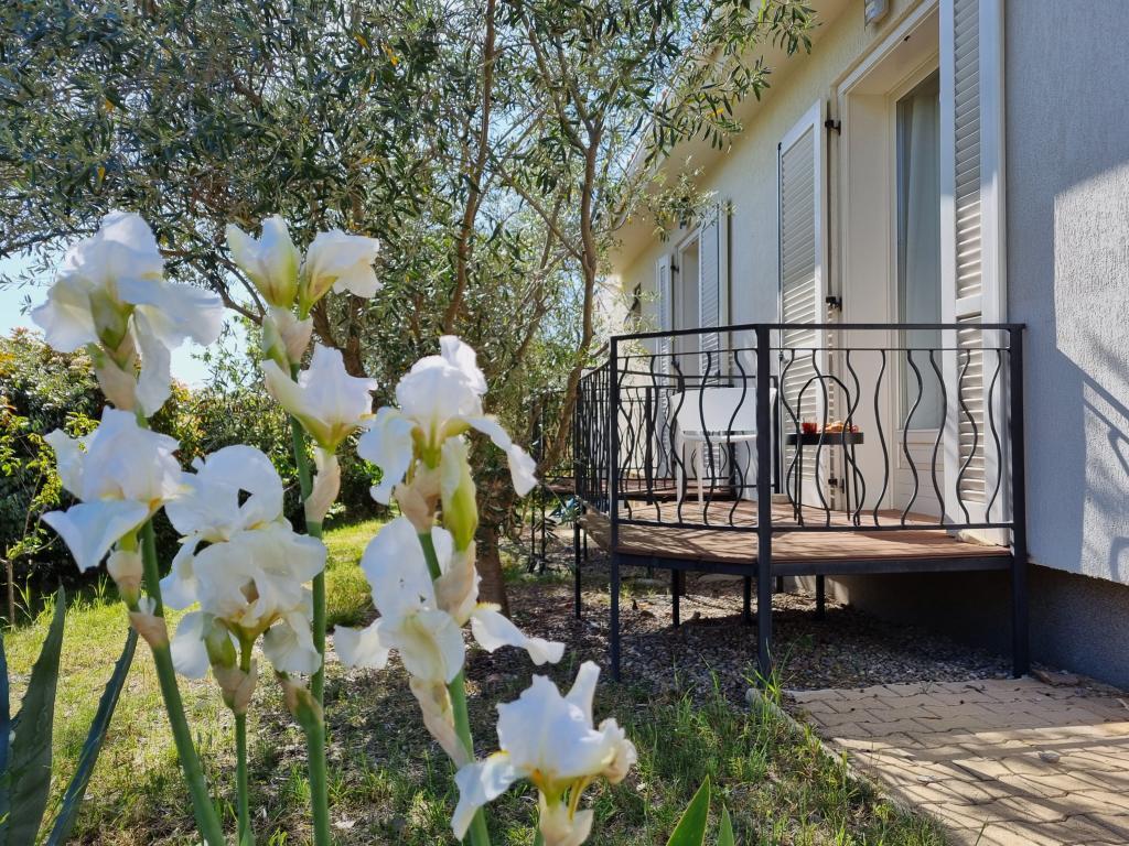 Villa Le Ranch – Piscine et spa à Oupia - Photo 6