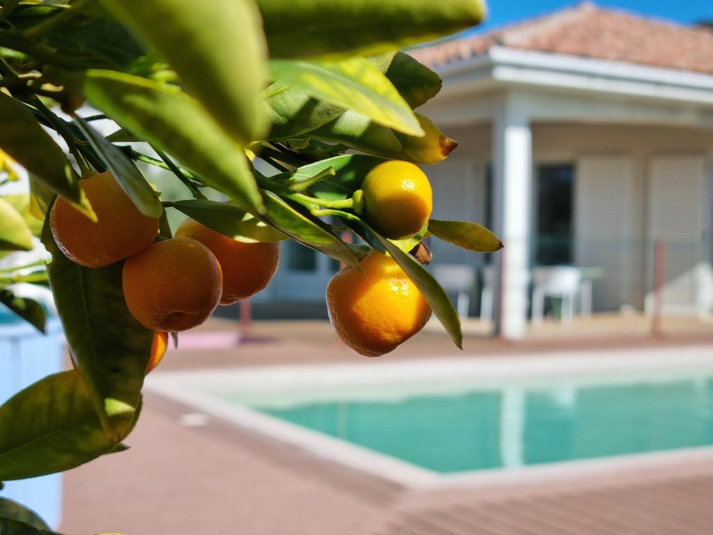 Villa Le Ranch – Piscine et spa à Oupia - Photo 25