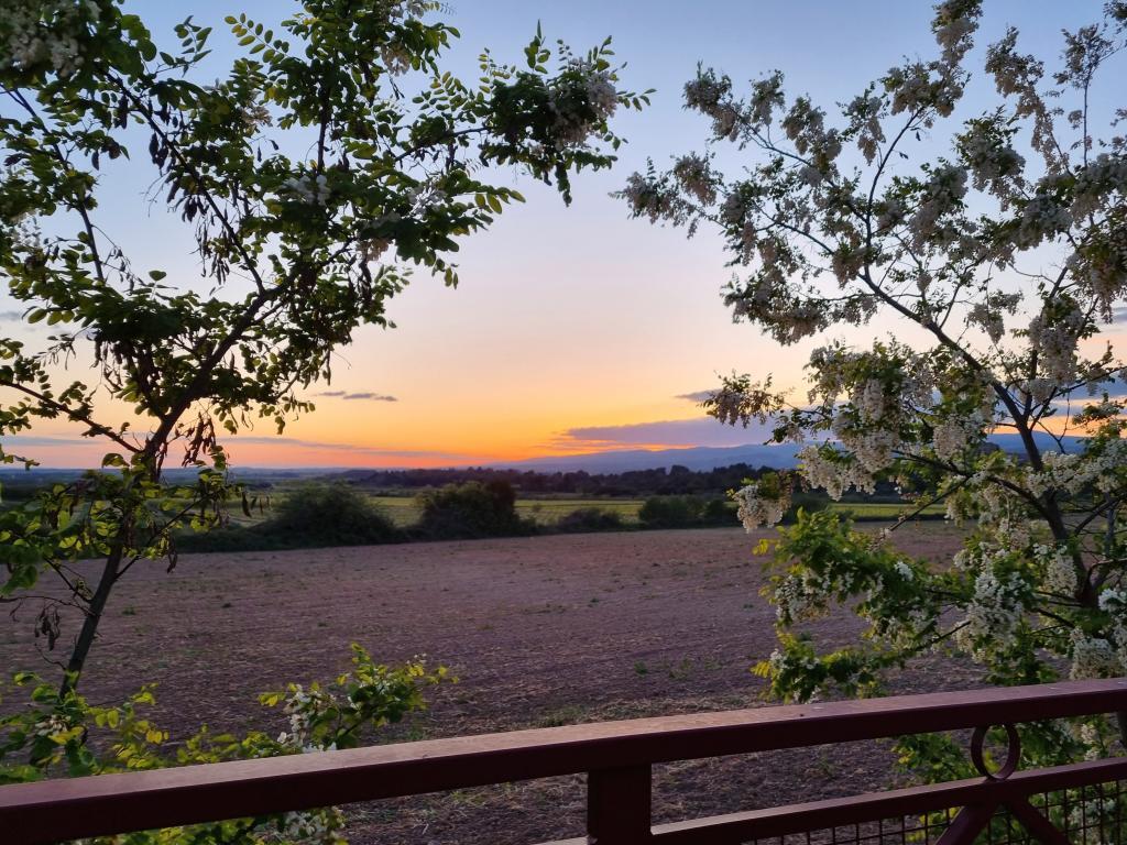 Villa Le Ranch – Piscine et spa à Oupia - Photo 31