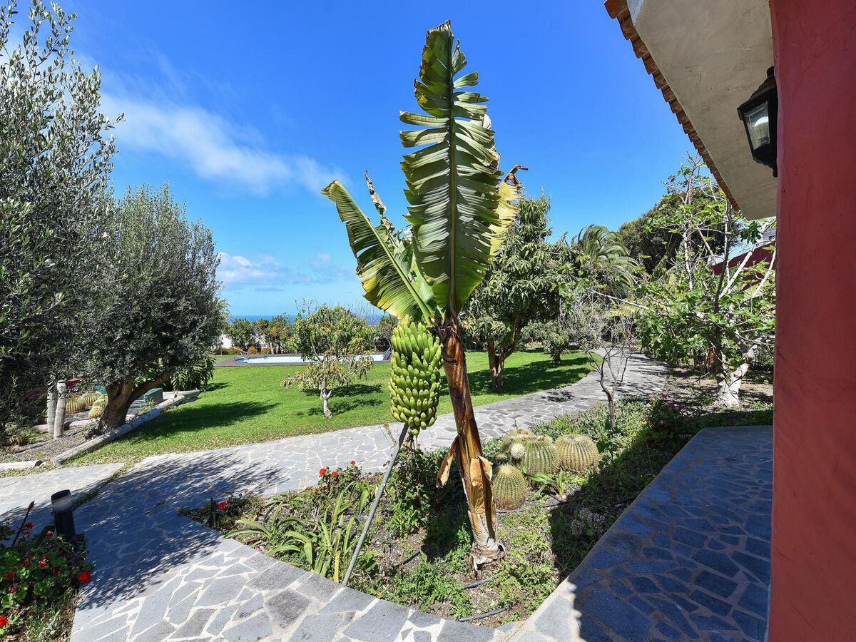 Villa Arucas 10 – 5 chambres, piscine, 350 m² - Photo 40