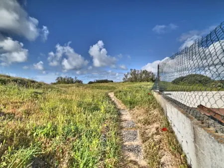 Maison Les Cariatides – plage à 100 m, piscine commune : photo 29