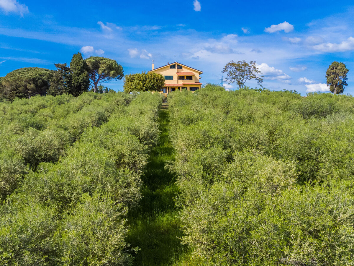 Podere la Maestà – Apt 90 m² vue mer à Rosignano - Photo 63