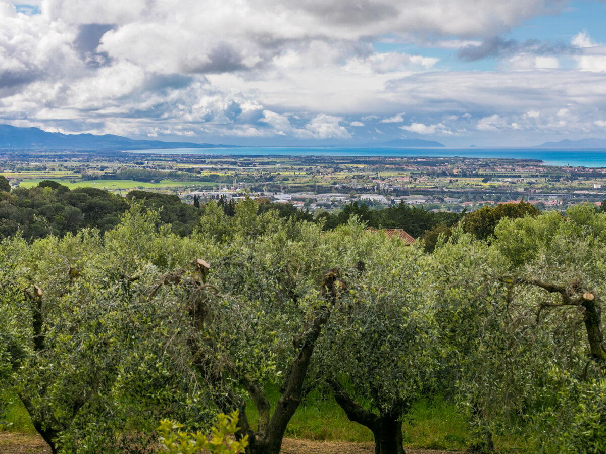 Podere la Maestà – Apt 90 m² vue mer à Rosignano - Photo 64