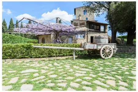 Location villa de vacances à Greve in Chianti