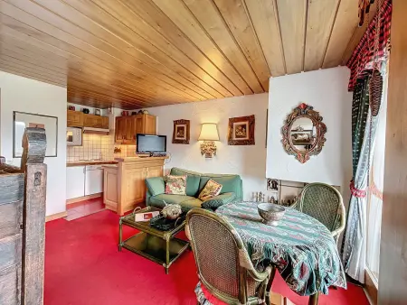 Appartement 2 pièces avec vue Mont Blanc à Combloux : photo 3