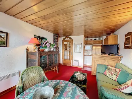 Appartement 2 pièces avec vue Mont Blanc à Combloux : photo 4