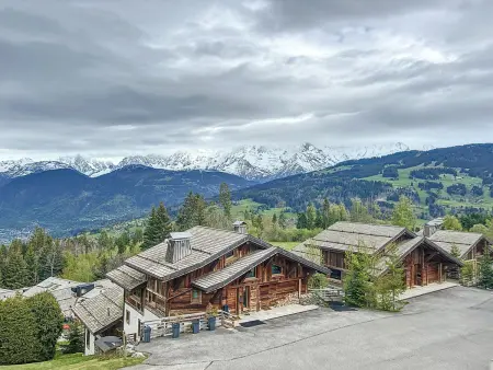 Studio 20 m² au pied des pistes avec vue Mont Blanc : photo 4