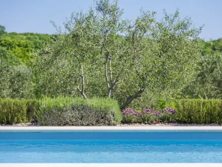 Casa Claudia, Maison 4 personnes à Novigrad (Istra) - Photo 8