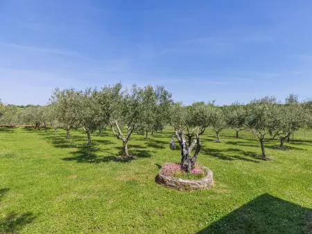 Casa Claudia, Maison 4 personnes à Novigrad (Istra) - Photo 24