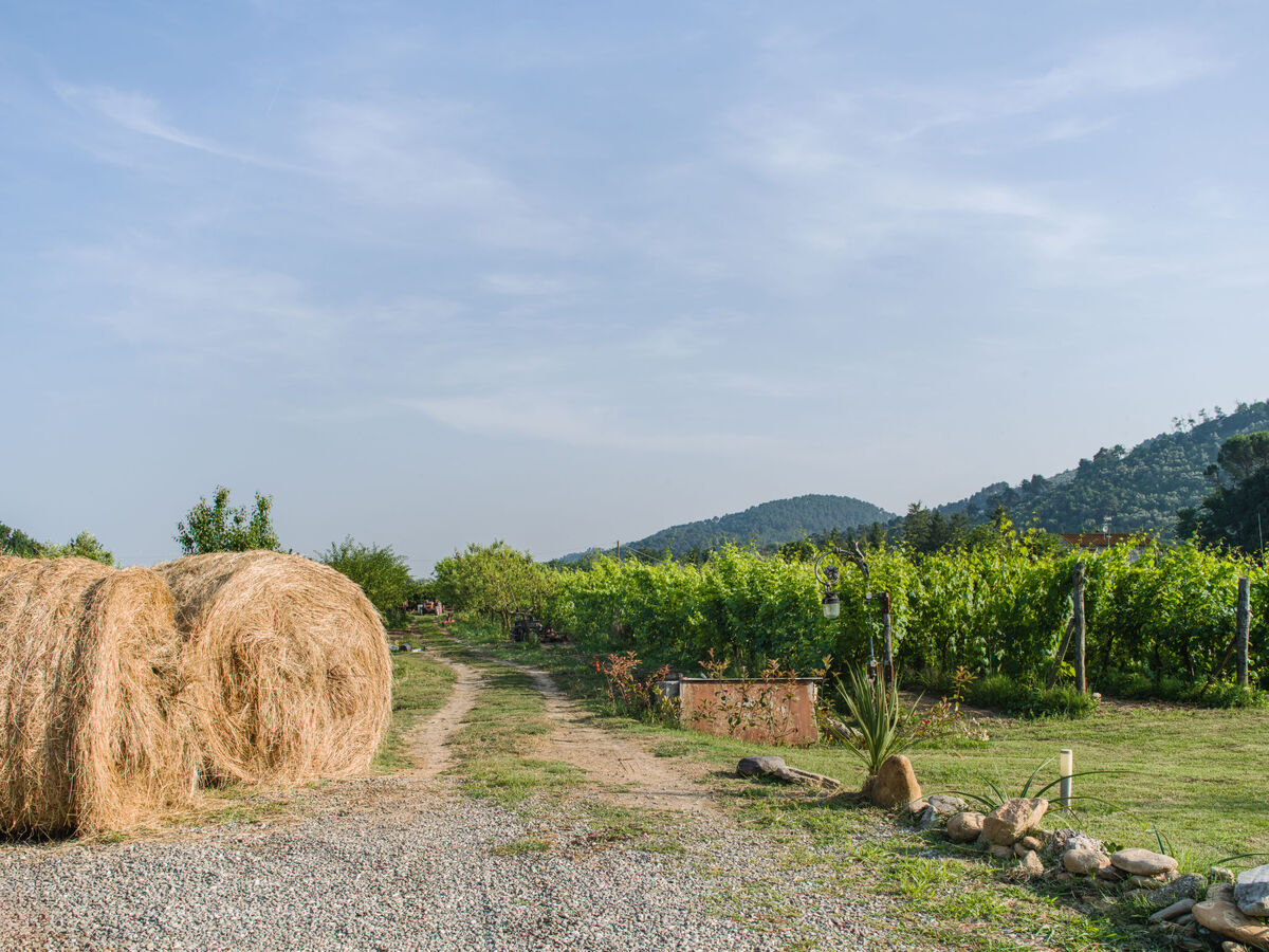 I Sei Filari – Maison rustique avec piscine à Lucca - Photo 23