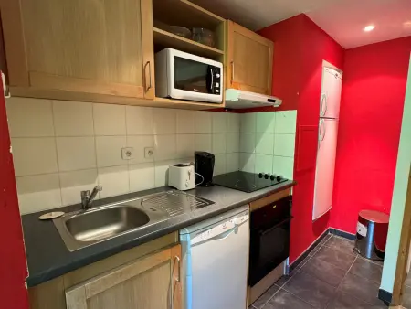 Studio 24m² ski aux pieds · Piscine chauffée : photo 3