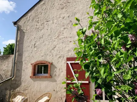 Location gite à Saint Claude de Diray, Gîte cosy avec terrasse privative, parking et WiFi
