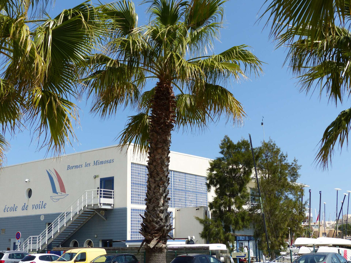 Studio 2 pers. Bormes-les-Mimosas, parking privé inclus - Photo 9