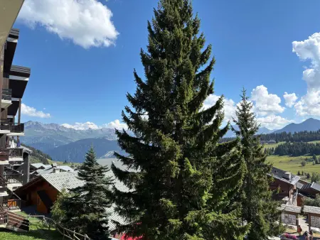 Appartement 2 pièces avec balcon plein sud, vue montagne - Les Saisies : photo 14