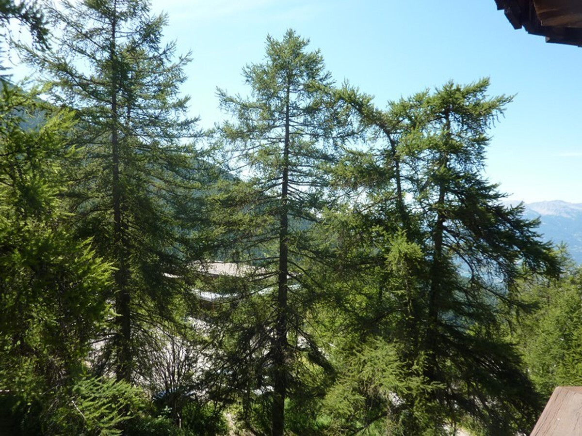 Studio 6 pers aux Orres, 2 min du télésiège, vue sud - Photo 9