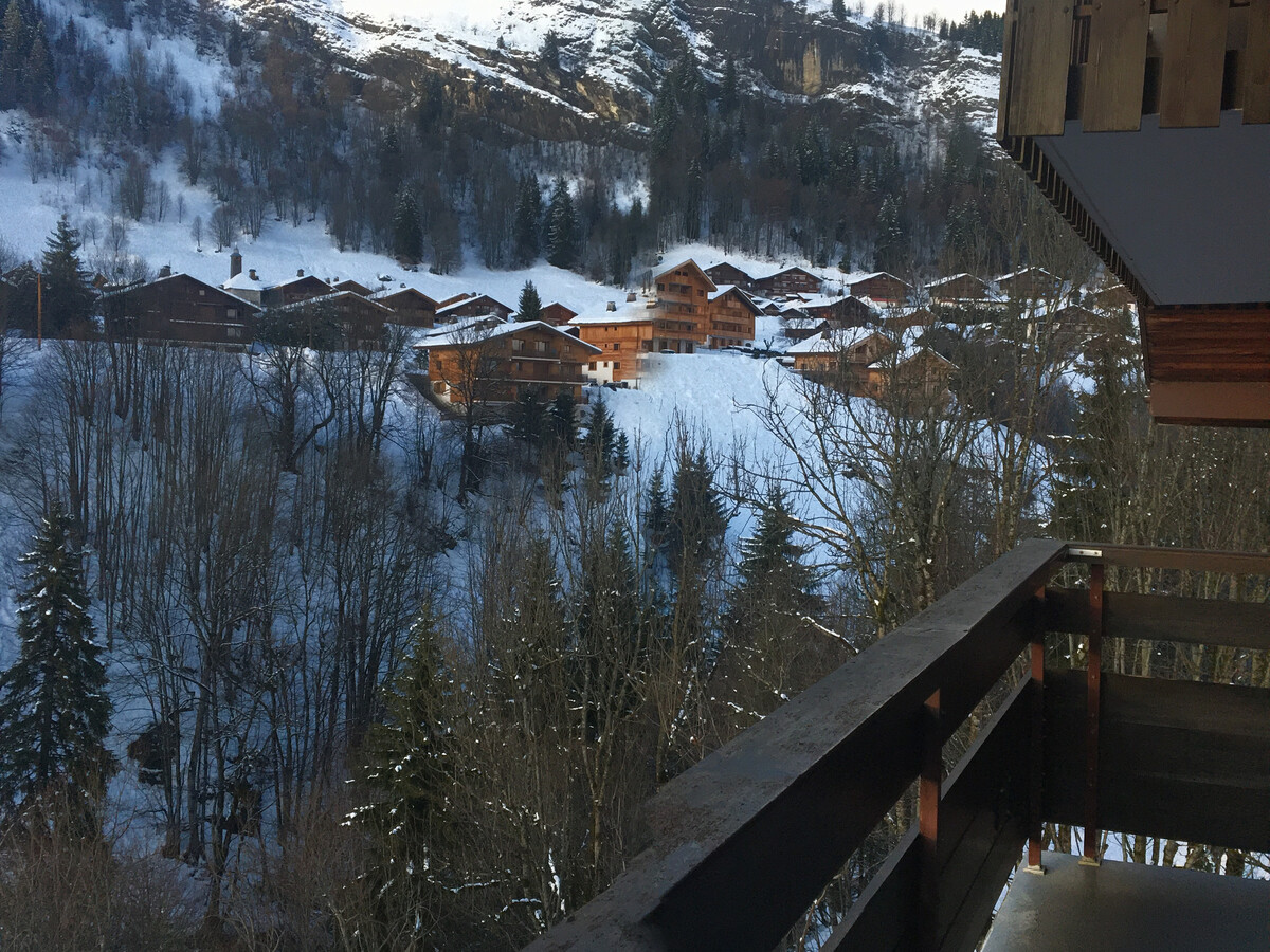 Piste Rouge B - Appartement 6 pers, 50 m des pistes - Photo 11