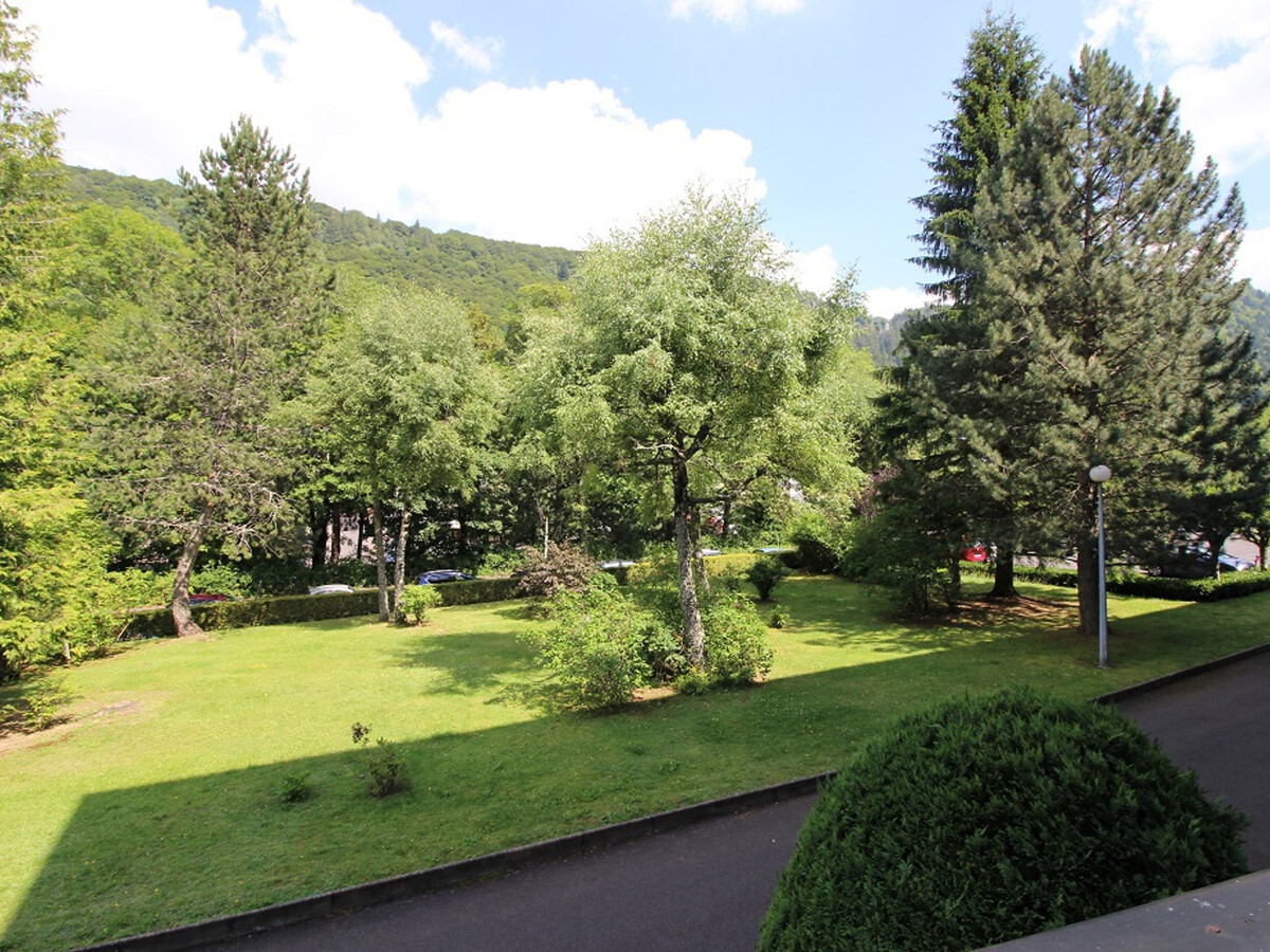 T2 Mont-Dore avec balcon vue montagne et cascade - Photo 5