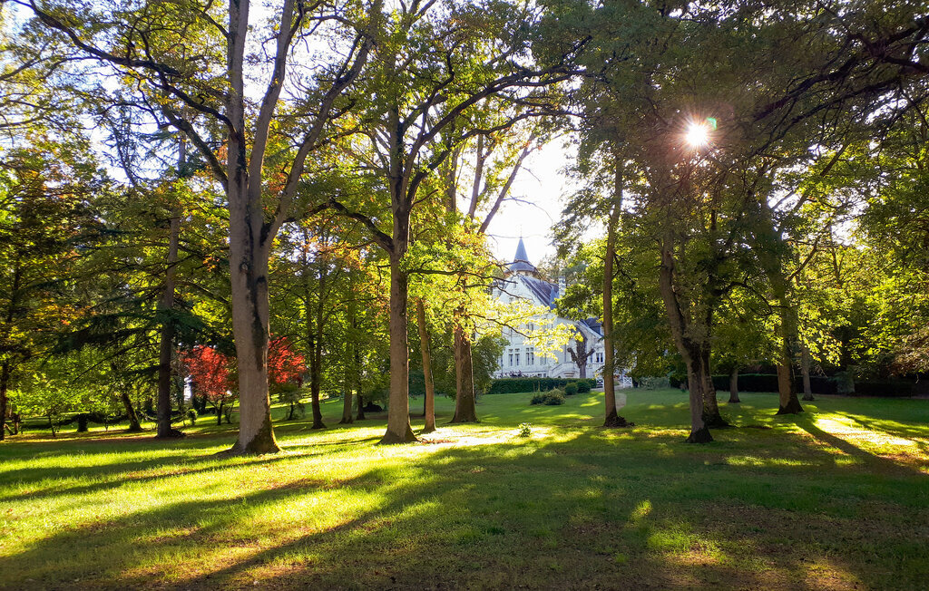 Château du 19e siècle avec piscine chauffée à Lencloître - Photo 15