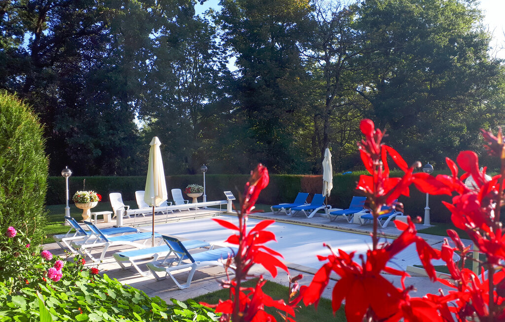 Château du 19e siècle avec piscine chauffée à Lencloître - Photo 25