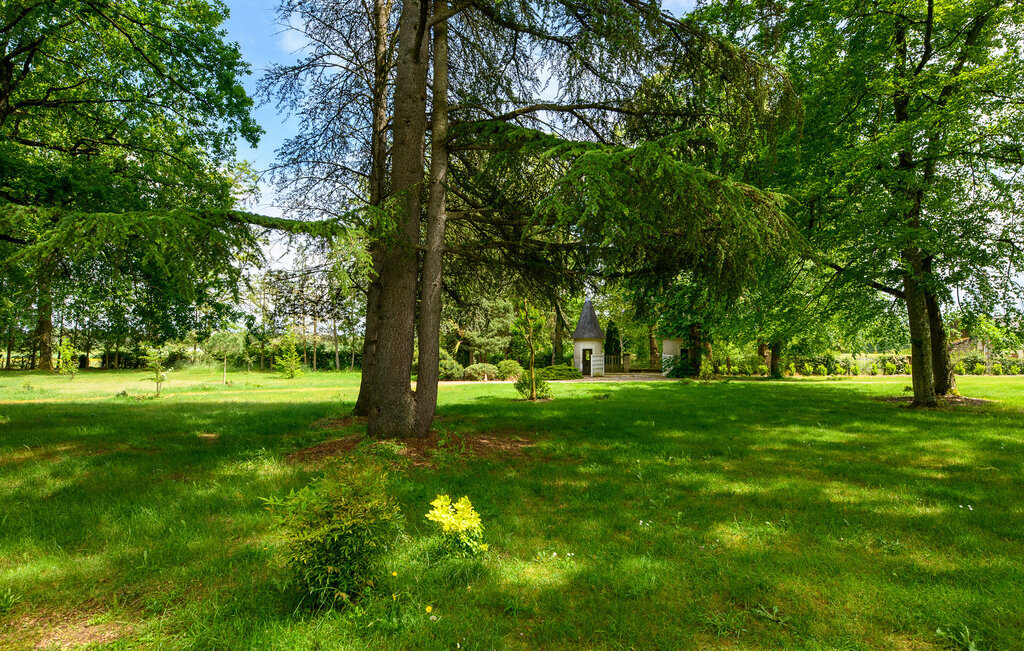 Château du 19e siècle avec piscine chauffée à Lencloître - Photo 27