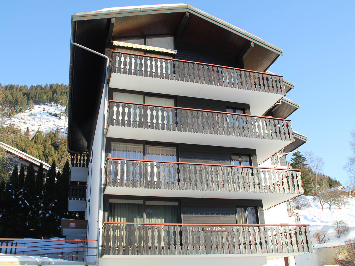 Studio 24 m² balcon sud, parking – Châtel - Photo 12