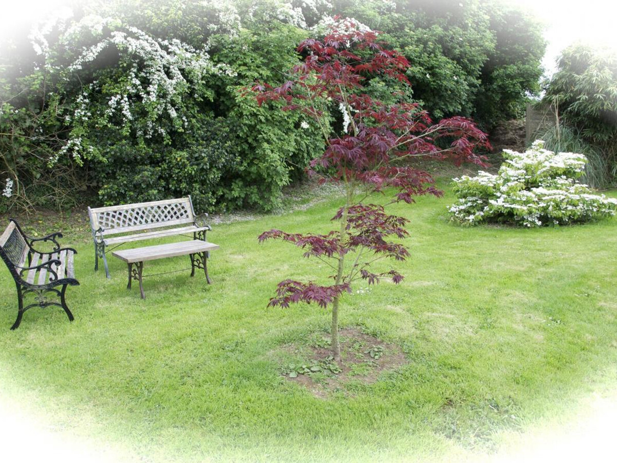 Gîte en pierre 4 pers. avec jardin clos à Clitourps - Photo 16