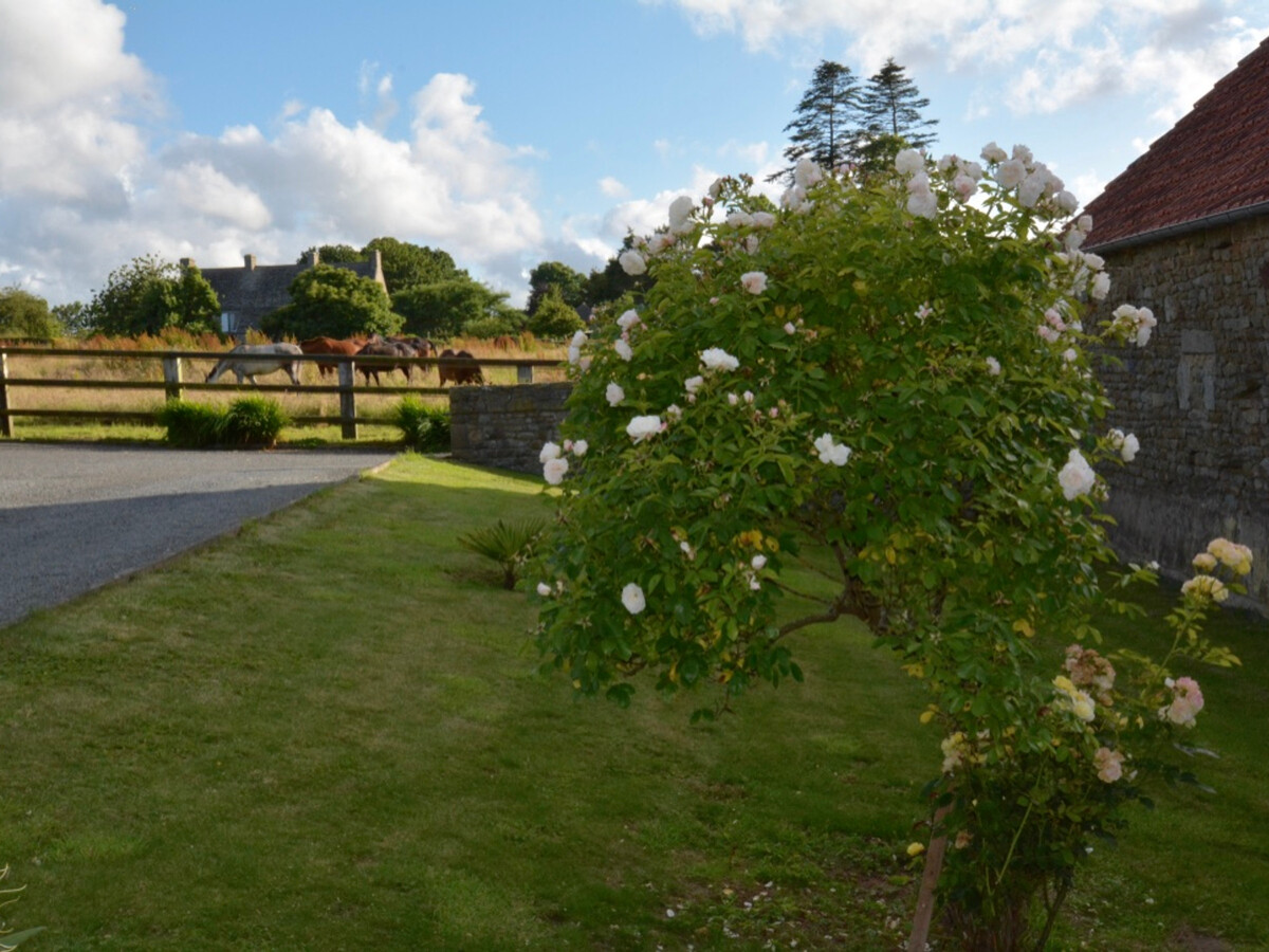 Gîte en pierre 4 pers. avec jardin clos à Clitourps - Photo 17