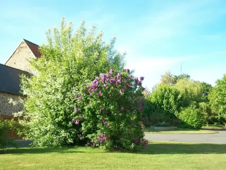 Gîte à Pontorson : maison à l'ancienne ferme avec terrasse - Photo 12