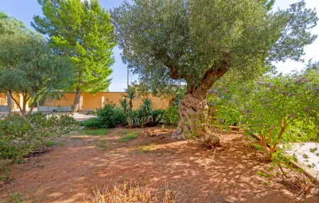 Villa d'Itria, Location Maison 6 personnes à Grottaglie - Photo 19