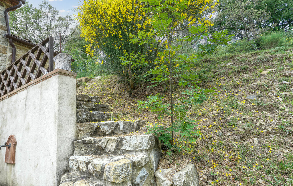 Podere Frassinelli, Maison 6 personnes à Stribugliano - Photo 13