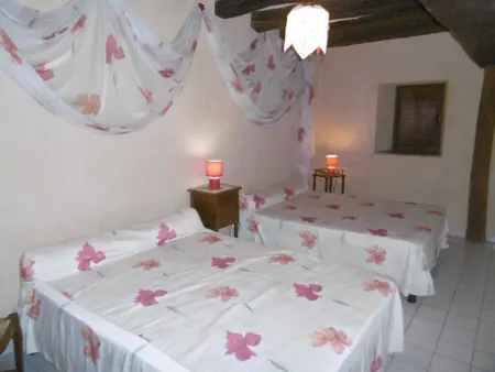 Gîte 14 pers. avec grand jardin clos à Mareil-sur-Loir : photo 2