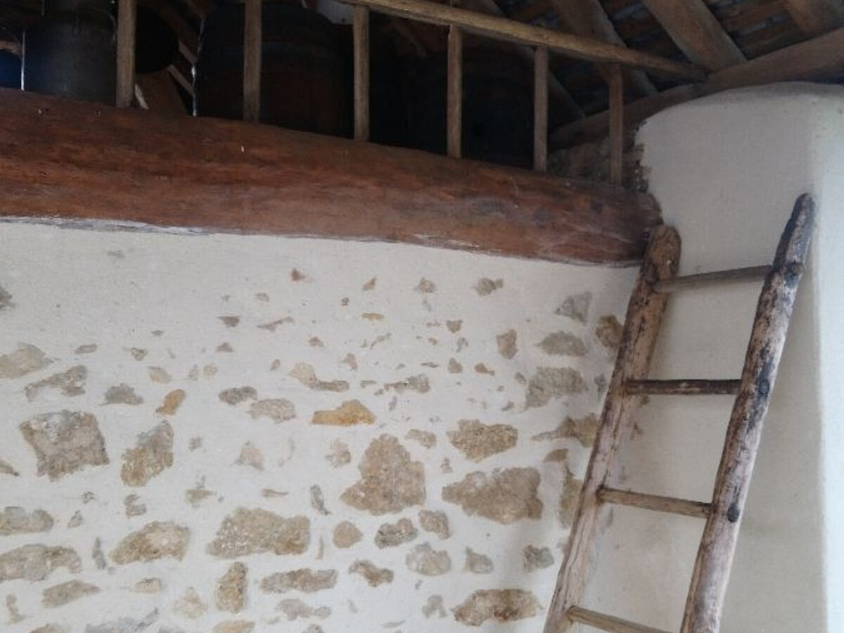 Fermette rénovée 5 chambres, 1 ha privé près du 24H du Mans - Photo 30