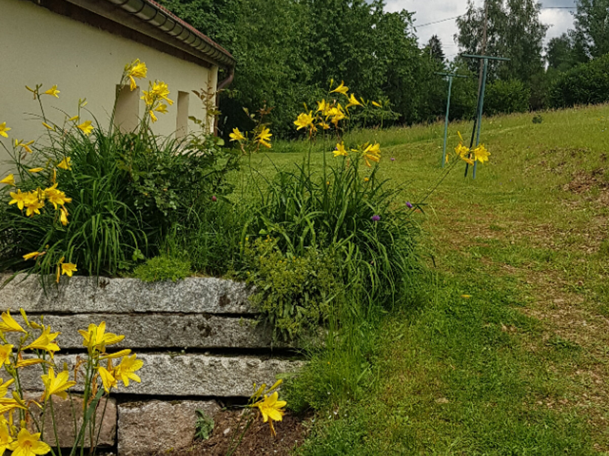 Gîte rénové 700m d'altitude, vue vallée Vosges - Photo 23