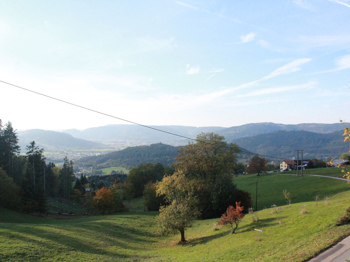 Gîte rénové 700m d'altitude, vue vallée Vosges - Photo 32