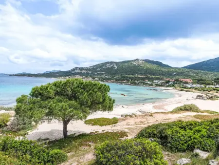 Casa Maza Corta, studio vue mer à Lumio : photo 16