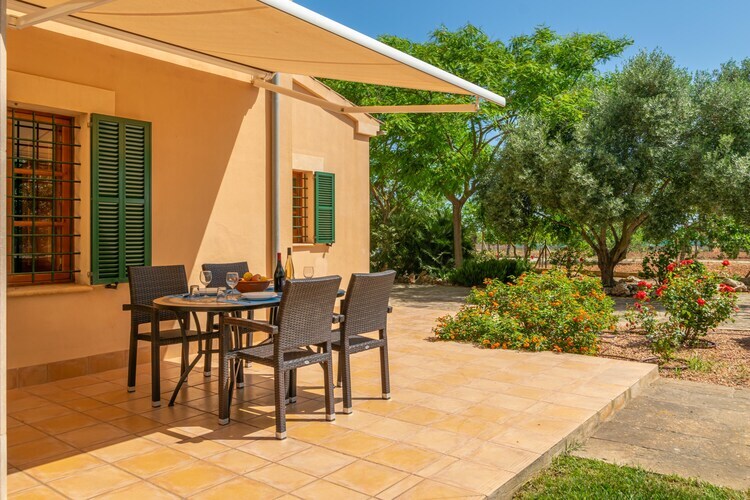 Can Pintat – Villa 6 pers. piscine eau salée à Porto Cristo - Photo 33