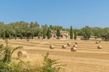 Ses Cases Velles De Son Baró, villa 10 pers. à Sant Joan : photo 44