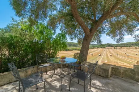 Ses Cases Velles De Son Baró, villa 10 pers. à Sant Joan : photo 45