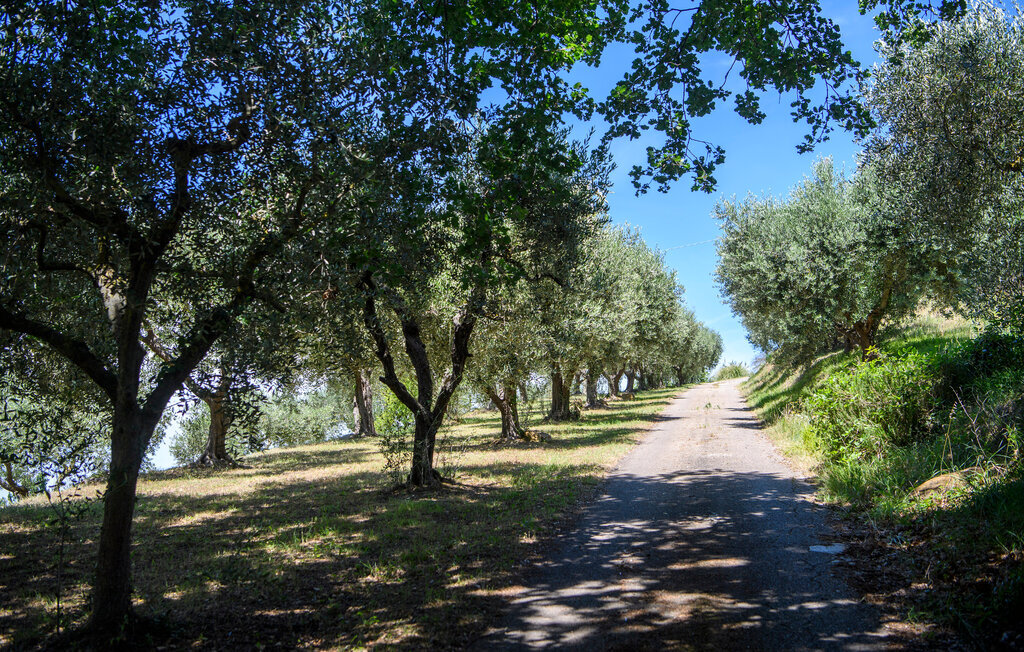 Maison 5 personnes à Pesaro - Photo 33