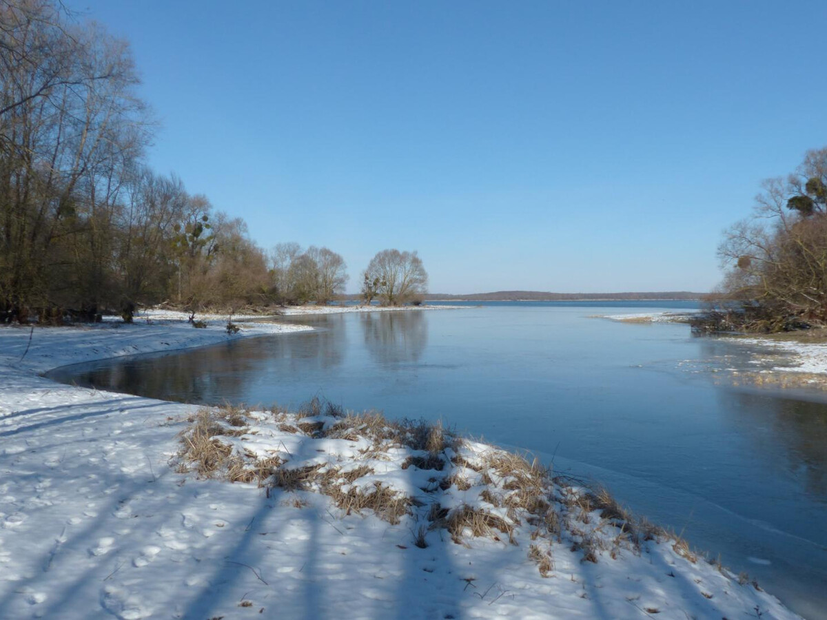 Gîte 5 personnes au cœur du Parc de la Forêt d'Orient - Photo 34
