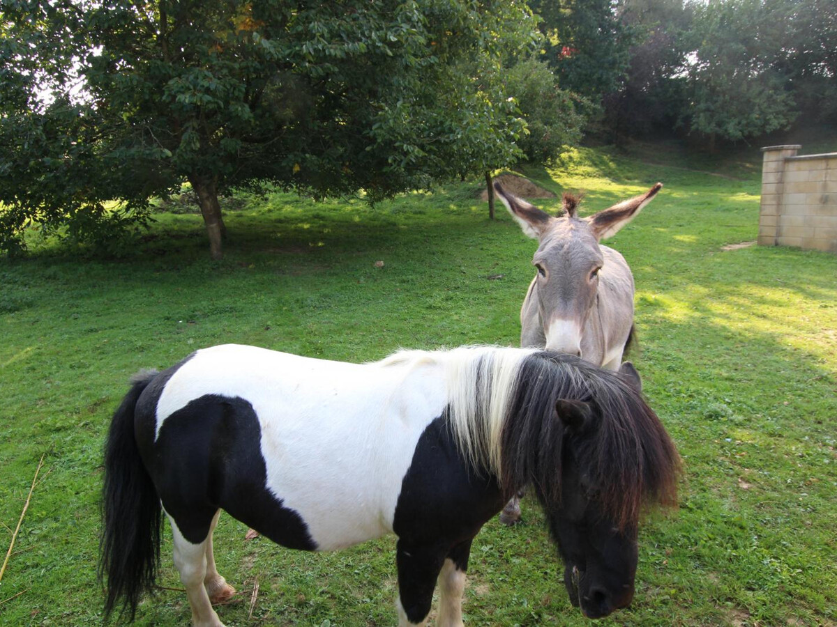 Gîte indépendant 4 pers. avec jardin clos et cheminée - Photo 18