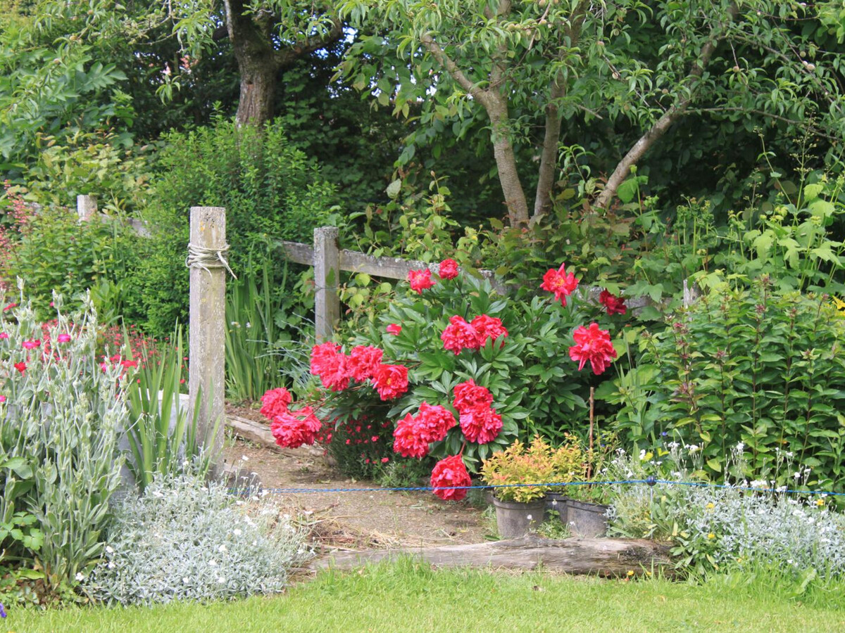 Gîte plain-pied avec jardin paysager à La Colombe - Photo 16